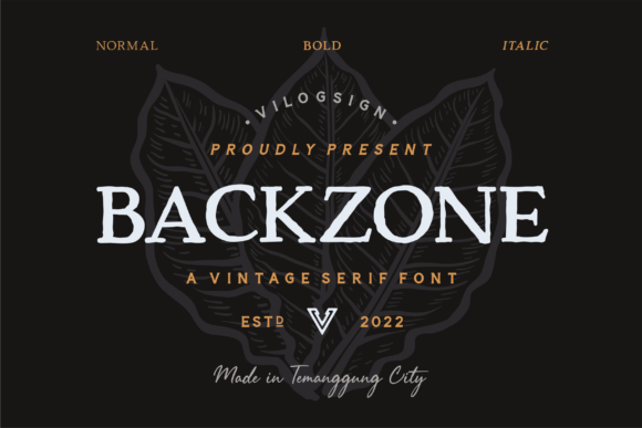 Backzone Serif Font for Campaigns That Demand Attention