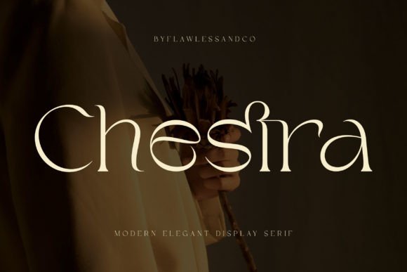 Chestra: A Modern Serif Typeface for Campaign Designers