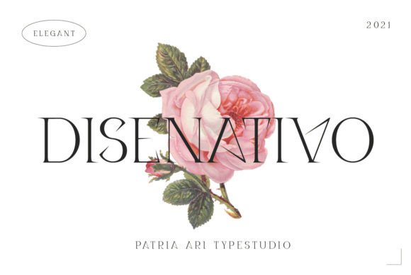 Disenativo: A Slab Serif Font That Elevates Small Business Branding