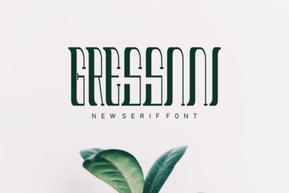 Gressnni Serif Font for Modern Digital Brand Layouts