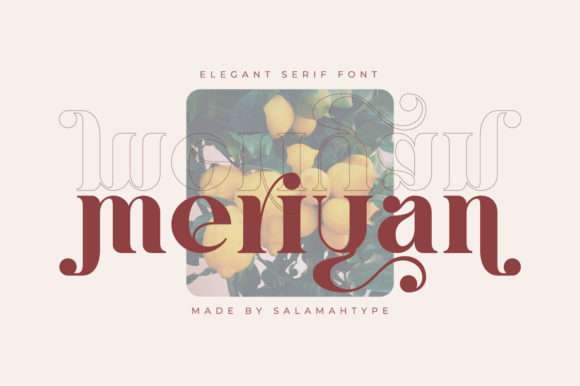 Meriyan Brings Character and Consistency to Your Brand's Everyday Materials