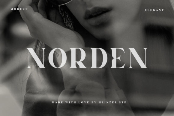 Norden: A Serif Font That Elevates Campaign Visuals