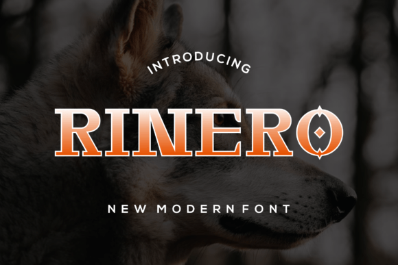 Rinero Serif Font Brings Refined Elegance to Editorial Design